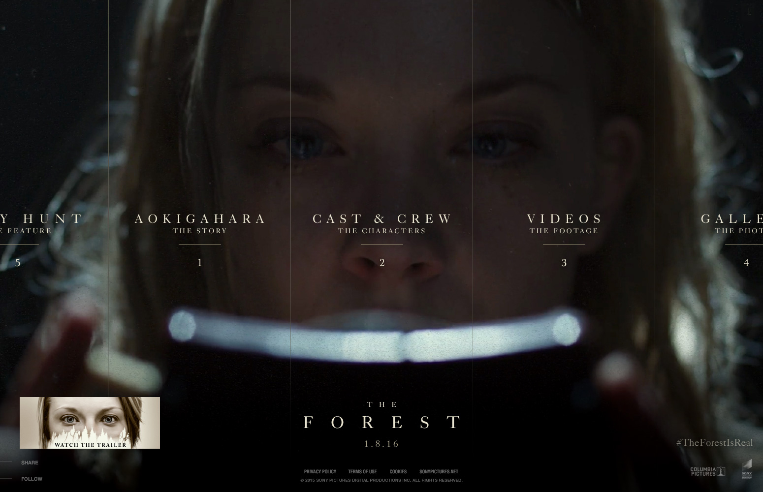 Sony Pictures - The Forest